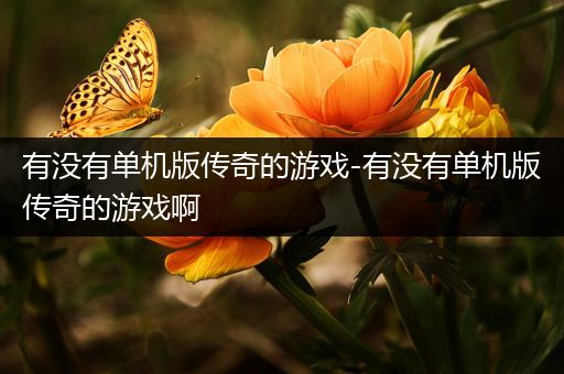 有没有单机版传奇的游戏-有没有单机版传奇的游戏啊