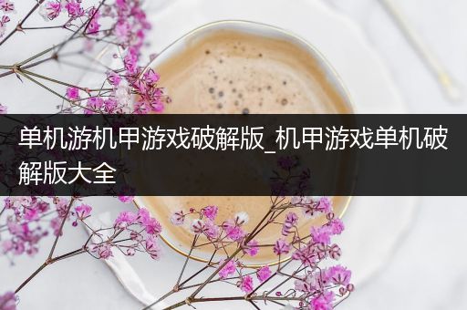 单机游机甲游戏破解版_机甲游戏单机破解版大全