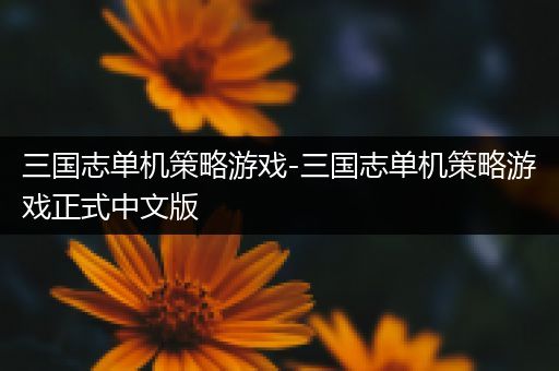 三国志单机策略游戏-三国志单机策略游戏正式中文版