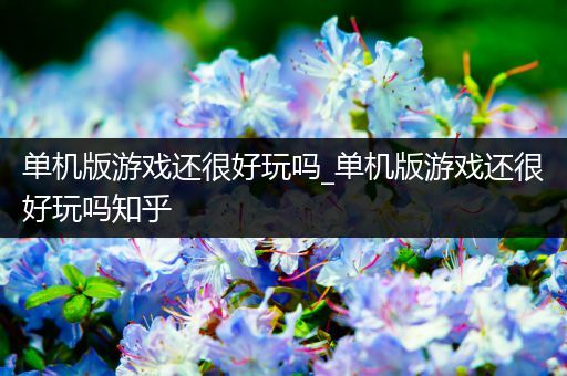 单机版游戏还很好玩吗_单机版游戏还很好玩吗知乎