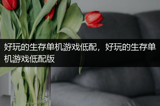 好玩的生存单机游戏低配，好玩的生存单机游戏低配版