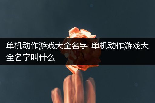 单机动作游戏大全名字-单机动作游戏大全名字叫什么