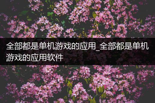 全部都是单机游戏的应用_全部都是单机游戏的应用软件
