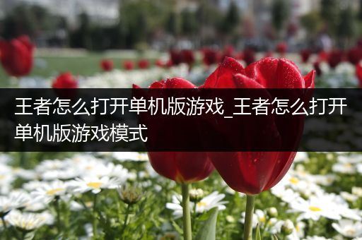 王者怎么打开单机版游戏_王者怎么打开单机版游戏模式