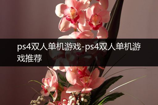 ps4双人单机游戏-ps4双人单机游戏推荐