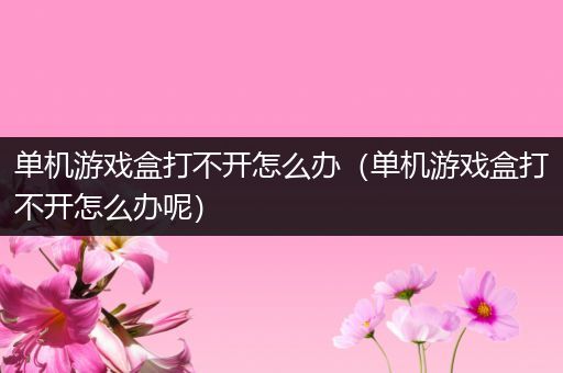 单机游戏盒打不开怎么办（单机游戏盒打不开怎么办呢）