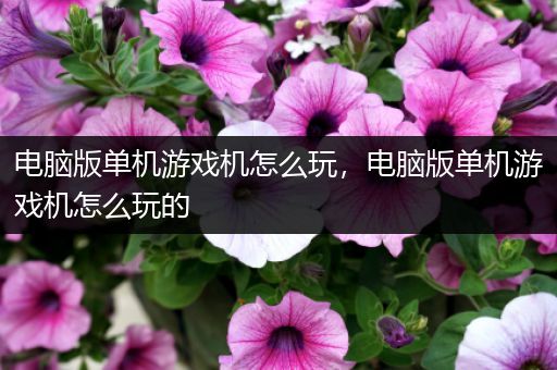 电脑版单机游戏机怎么玩，电脑版单机游戏机怎么玩的