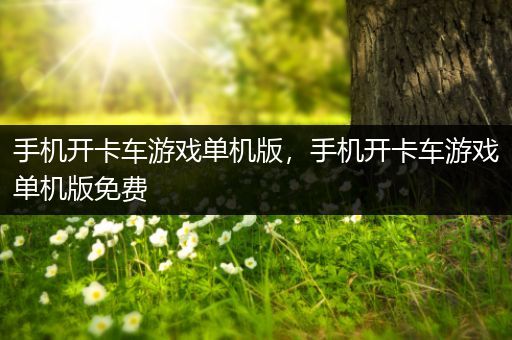 手机开卡车游戏单机版，手机开卡车游戏单机版免费