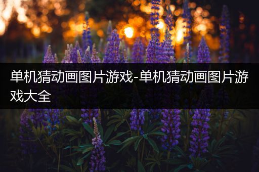 单机猜动画图片游戏-单机猜动画图片游戏大全