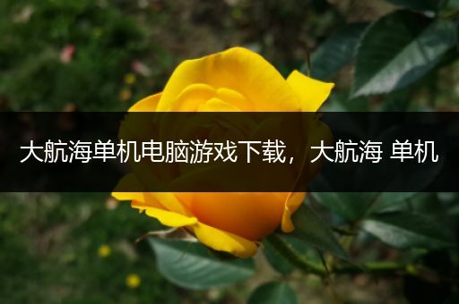 大航海单机电脑游戏下载，大航海 单机