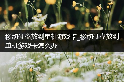 移动硬盘放到单机游戏卡_移动硬盘放到单机游戏卡怎么办