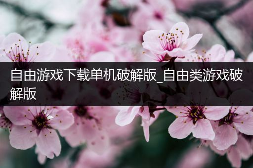 自由游戏下载单机破解版_自由类游戏破解版