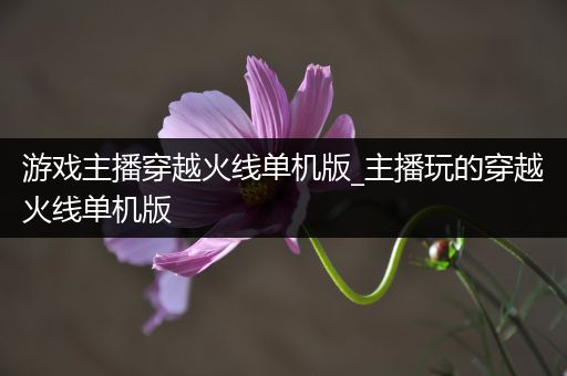游戏主播穿越火线单机版_主播玩的穿越火线单机版
