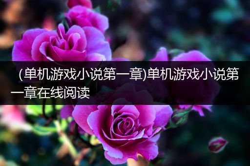（单机游戏小说第一章)单机游戏小说第一章在线阅读