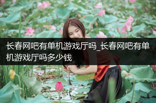 长春网吧有单机游戏厅吗_长春网吧有单机游戏厅吗多少钱