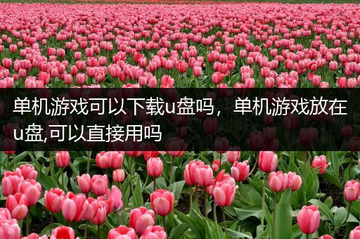 单机游戏可以下载u盘吗，单机游戏放在u盘,可以直接用吗