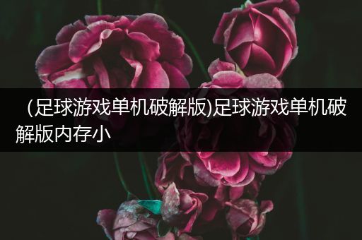 （足球游戏单机破解版)足球游戏单机破解版内存小
