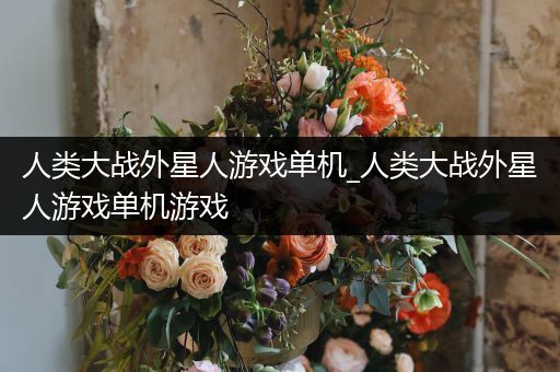 人类大战外星人游戏单机_人类大战外星人游戏单机游戏