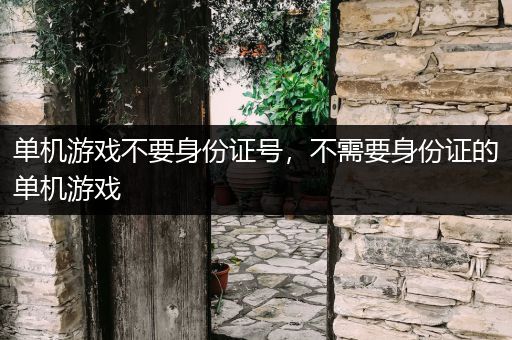 单机游戏不要身份证号，不需要身份证的单机游戏