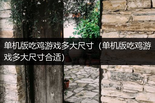 单机版吃鸡游戏多大尺寸（单机版吃鸡游戏多大尺寸合适）
