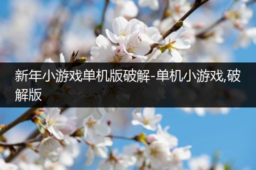 新年小游戏单机版破解-单机小游戏,破解版