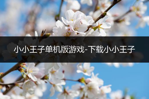 小小王子单机版游戏-下载小小王子
