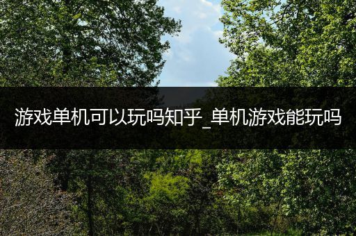 游戏单机可以玩吗知乎_单机游戏能玩吗