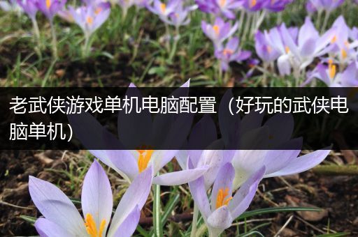 老武侠游戏单机电脑配置（好玩的武侠电脑单机）