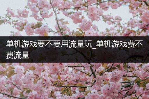 单机游戏要不要用流量玩_单机游戏费不费流量