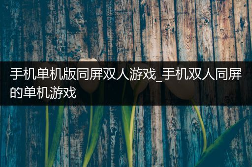 手机单机版同屏双人游戏_手机双人同屏的单机游戏