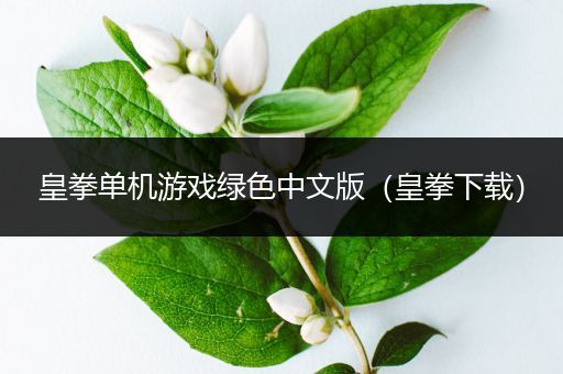 皇拳单机游戏绿色中文版（皇拳下载）