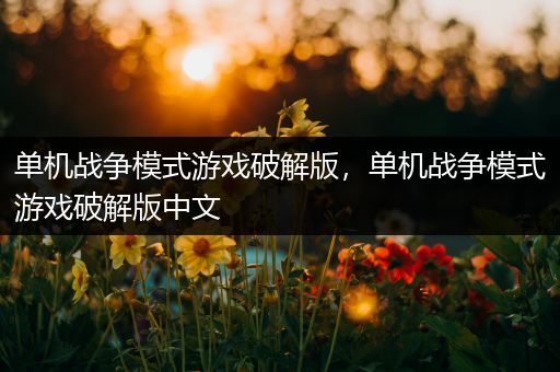 单机战争模式游戏破解版，单机战争模式游戏破解版中文