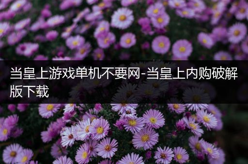 当皇上游戏单机不要网-当皇上内购破解版下载