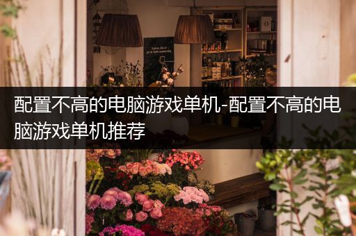 配置不高的电脑游戏单机-配置不高的电脑游戏单机推荐