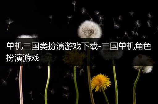 单机三国类扮演游戏下载-三国单机角色扮演游戏