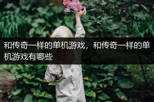 和传奇一样的单机游戏，和传奇一样的单机游戏有哪些