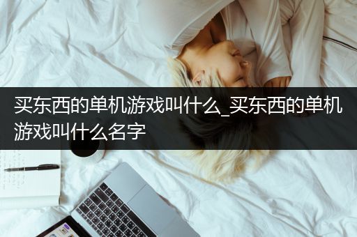 买东西的单机游戏叫什么_买东西的单机游戏叫什么名字