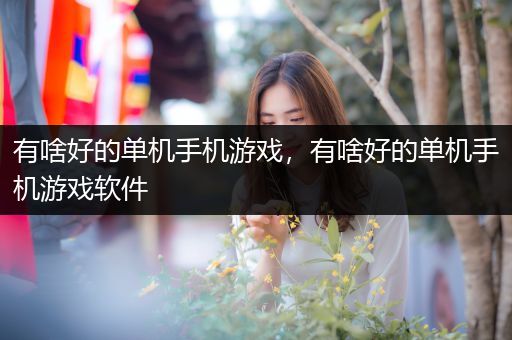 有啥好的单机手机游戏，有啥好的单机手机游戏软件