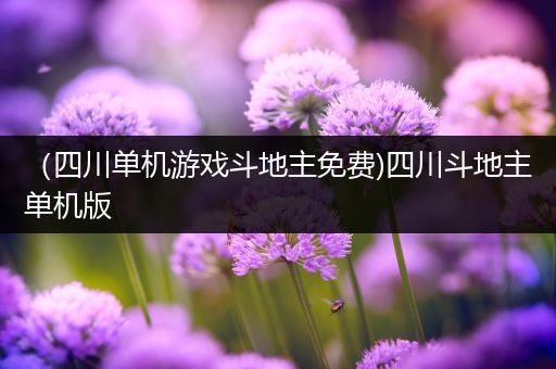 （四川单机游戏斗地主免费)四川斗地主单机版
