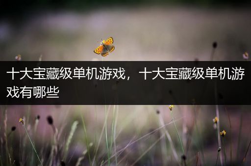 十大宝藏级单机游戏，十大宝藏级单机游戏有哪些