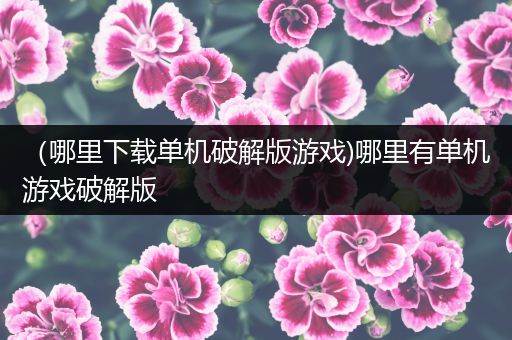 （哪里下载单机破解版游戏)哪里有单机游戏破解版