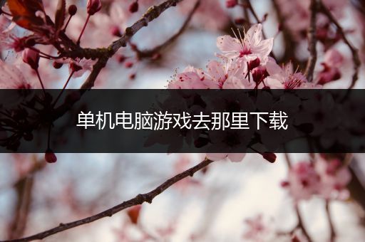 单机电脑游戏去那里下载