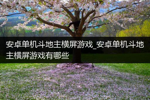 安卓单机斗地主横屏游戏_安卓单机斗地主横屏游戏有哪些