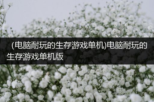 （电脑耐玩的生存游戏单机)电脑耐玩的生存游戏单机版