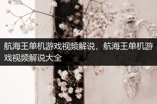 航海王单机游戏视频解说，航海王单机游戏视频解说大全