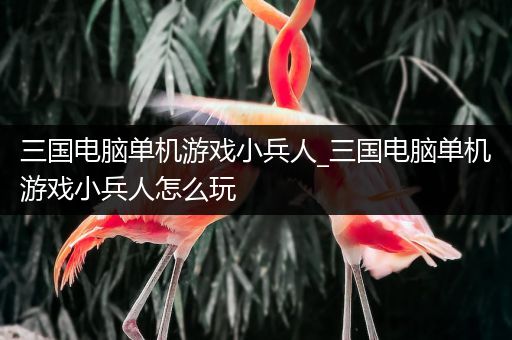 三国电脑单机游戏小兵人_三国电脑单机游戏小兵人怎么玩