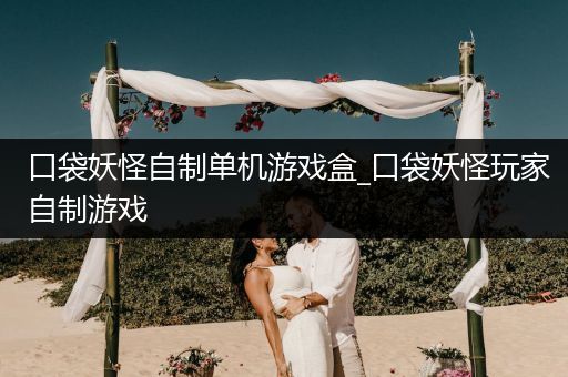 口袋妖怪自制单机游戏盒_口袋妖怪玩家自制游戏