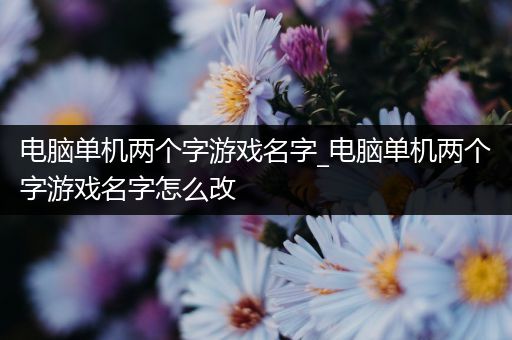 电脑单机两个字游戏名字_电脑单机两个字游戏名字怎么改