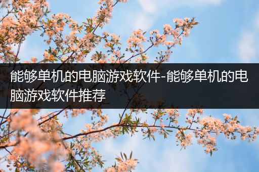 能够单机的电脑游戏软件-能够单机的电脑游戏软件推荐