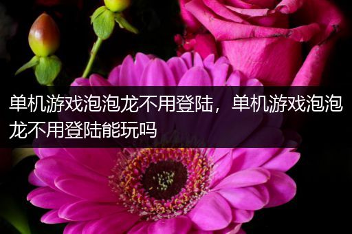 单机游戏泡泡龙不用登陆，单机游戏泡泡龙不用登陆能玩吗